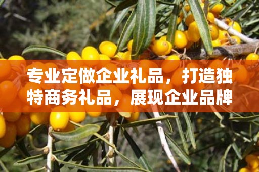 专业定做企业礼品，打造独特商务礼品，展现企业品牌魅力