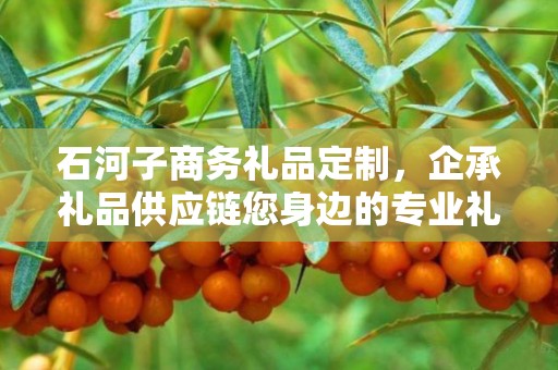 石河子商务礼品定制，企承礼品供应链您身边的专业礼品定制公司