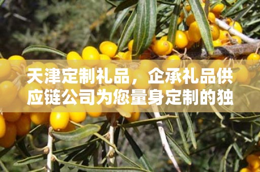 天津定制礼品，企承礼品供应链公司为您量身定制的独特礼品